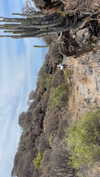 virginia.battiston Altpins Profile Picture