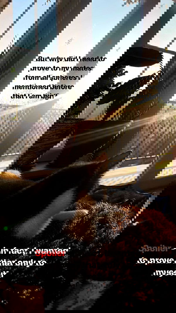 vive.la.lucy vive.la.lucy archive image