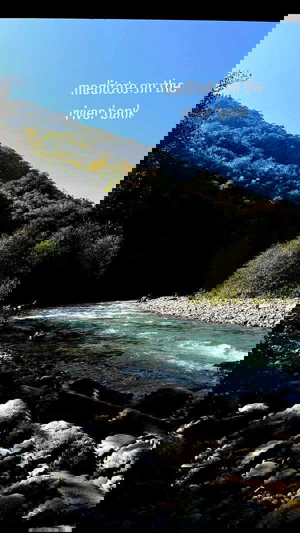 vive.la.lucy vive.la.lucy archive image