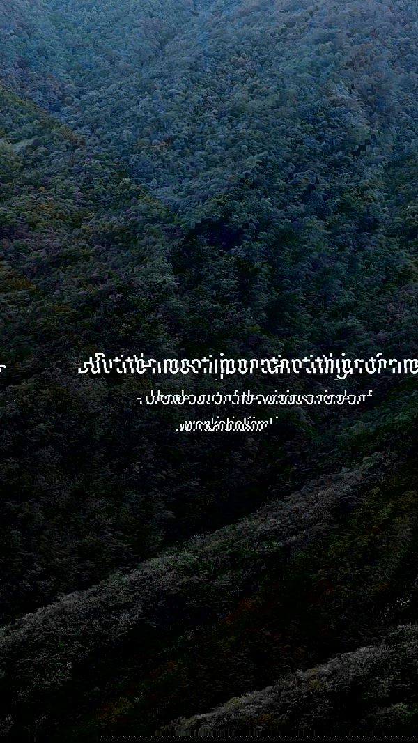 vive.la.lucy vive.la.lucy archive image