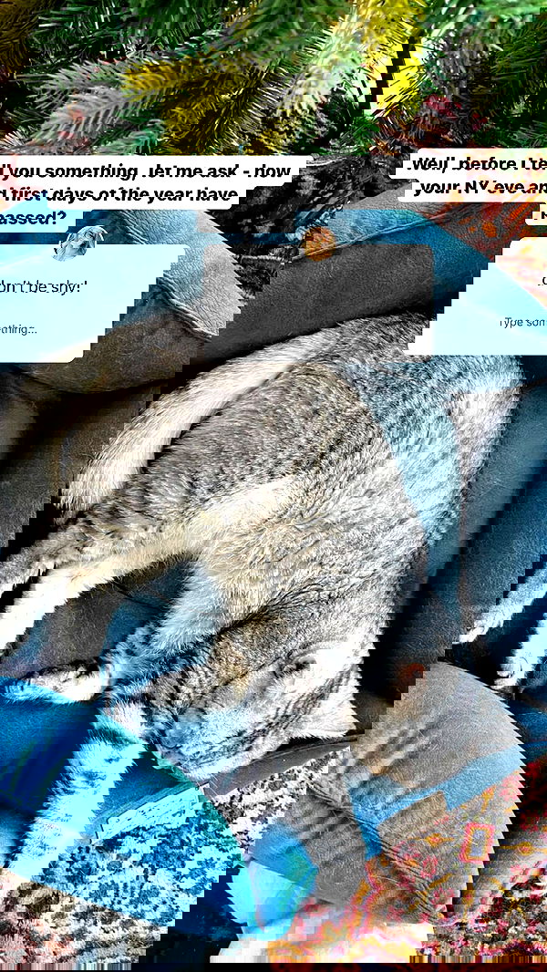 vive.la.lucy vive.la.lucy archive image