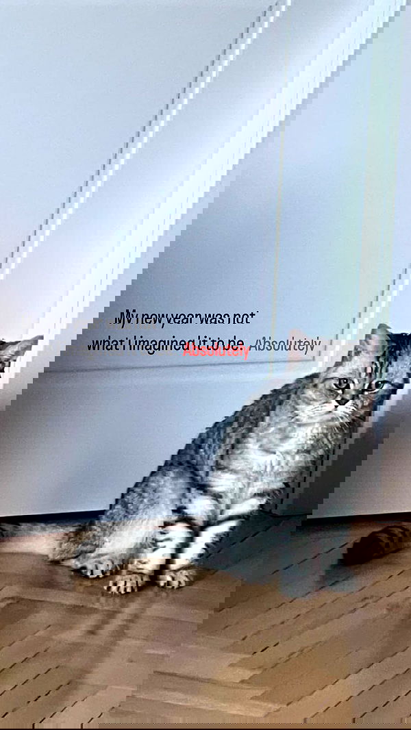 vive.la.lucy vive.la.lucy archive image