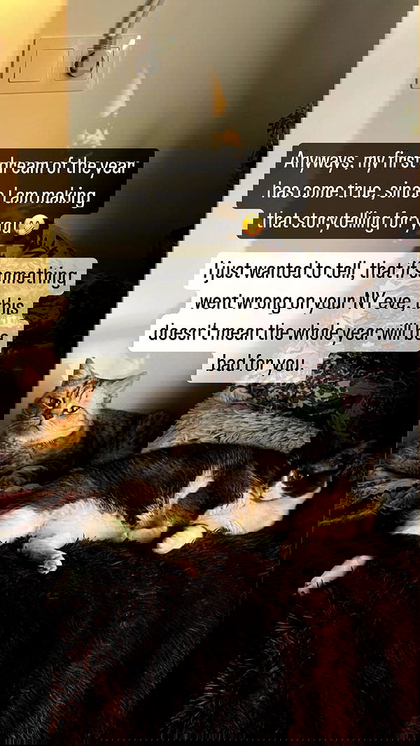 vive.la.lucy vive.la.lucy archive image