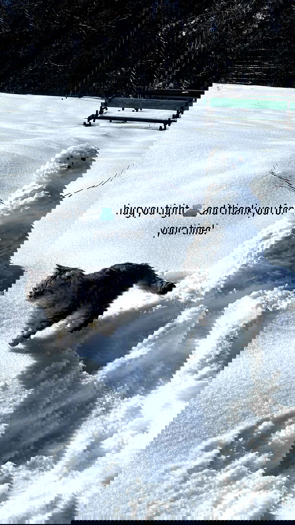 vive.la.lucy vive.la.lucy archive image