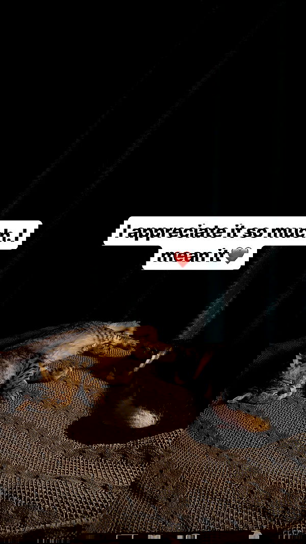 vive.la.lucy vive.la.lucy archive image