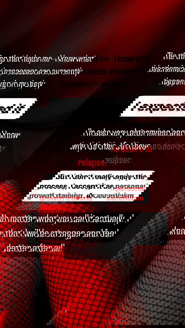 vive.la.lucy vive.la.lucy archive image