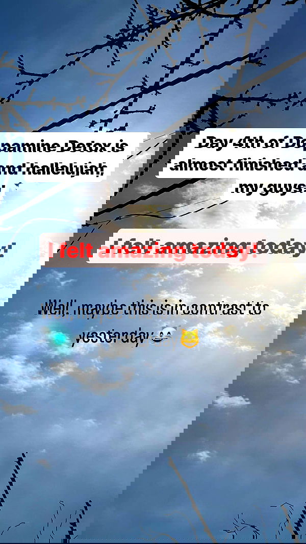 vive.la.lucy vive.la.lucy archive image