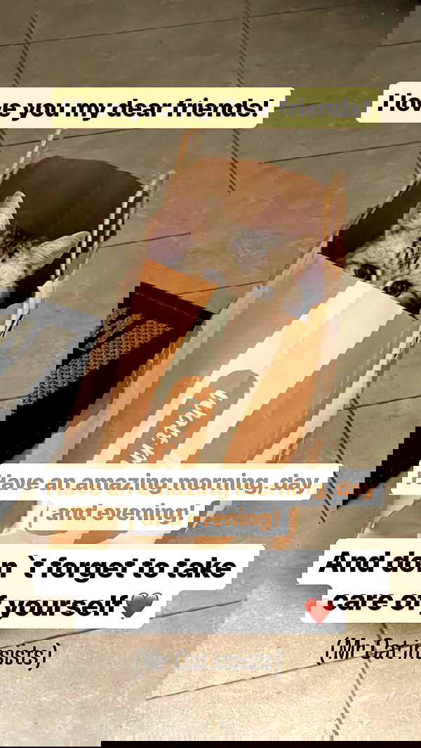 vive.la.lucy vive.la.lucy archive image