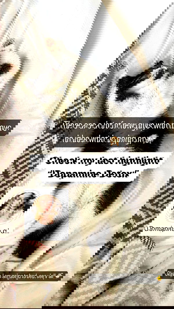 vive.la.lucy vive.la.lucy archive image