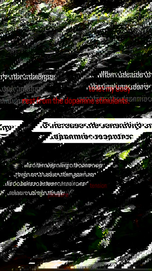 vive.la.lucy vive.la.lucy archive image