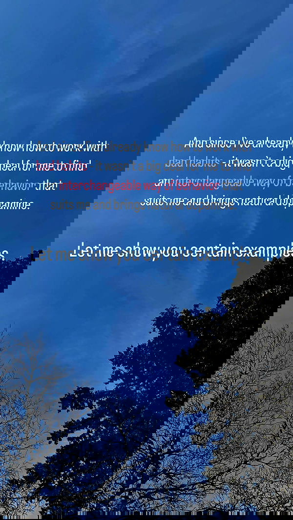 vive.la.lucy vive.la.lucy archive image