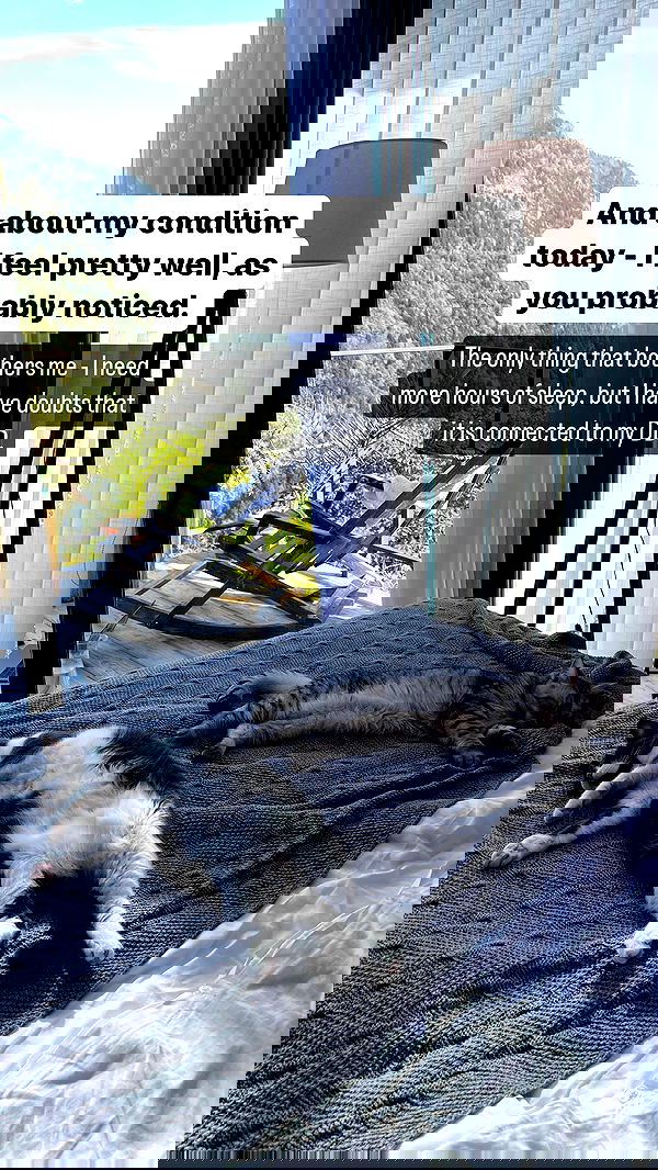 vive.la.lucy vive.la.lucy archive image