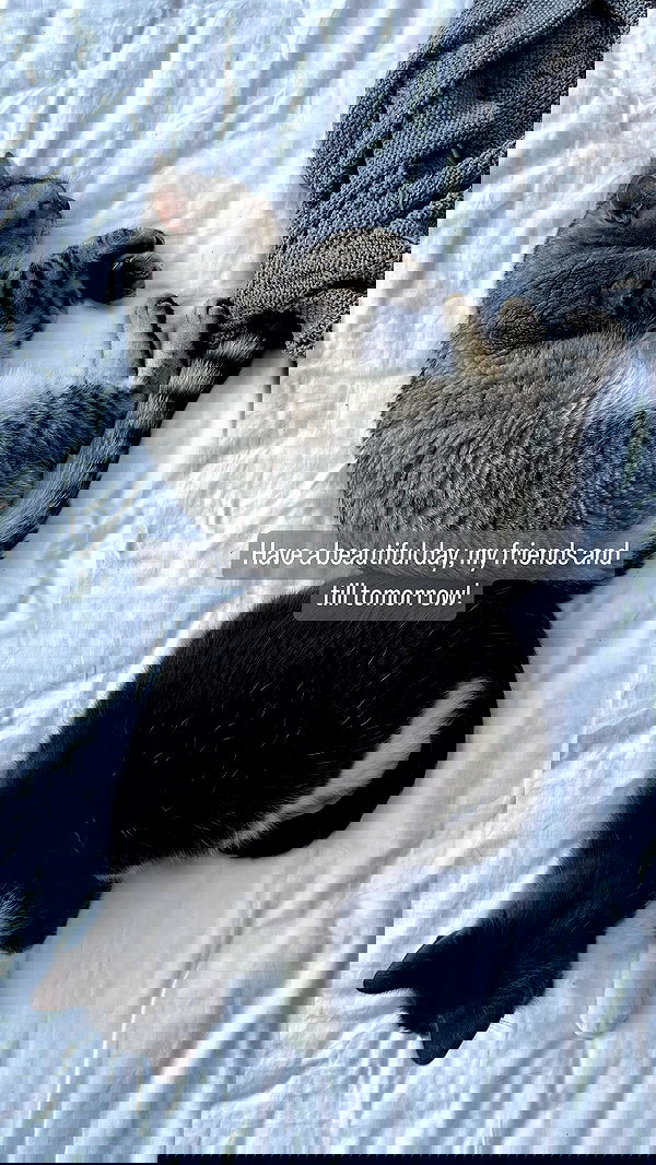 vive.la.lucy vive.la.lucy archive image