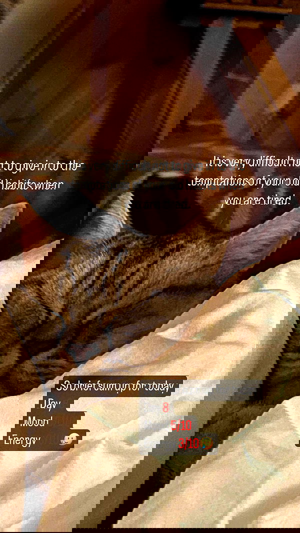 vive.la.lucy vive.la.lucy archive image