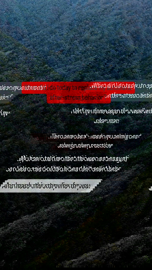 vive.la.lucy vive.la.lucy archive image