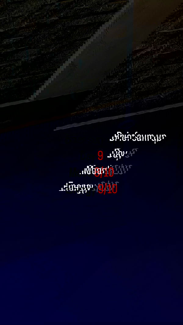 vive.la.lucy vive.la.lucy archive image