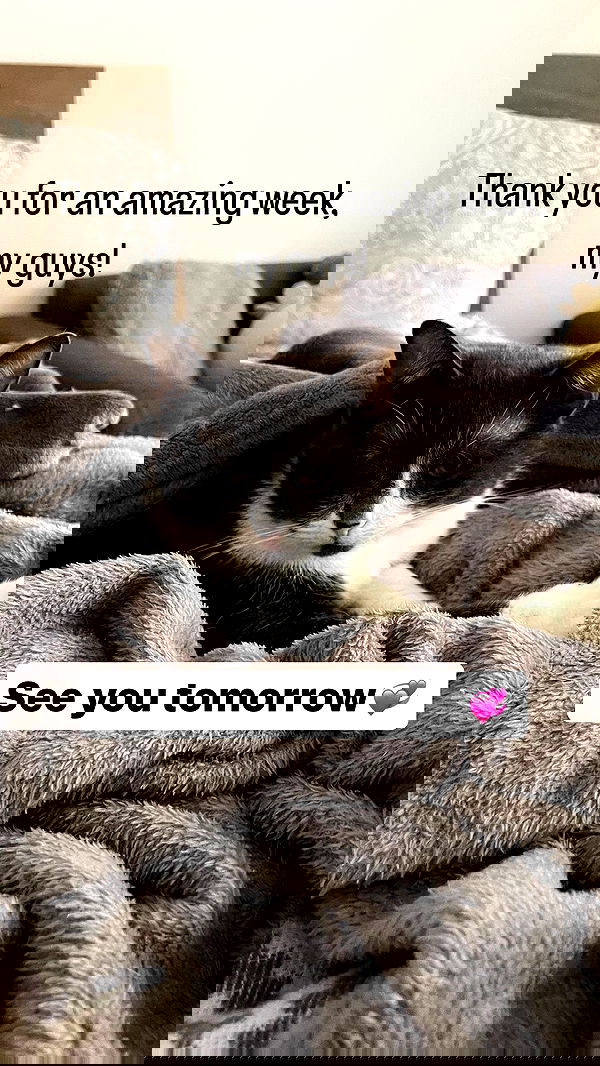 vive.la.lucy vive.la.lucy archive image