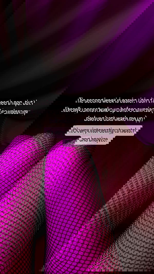 vive.la.lucy vive.la.lucy archive image