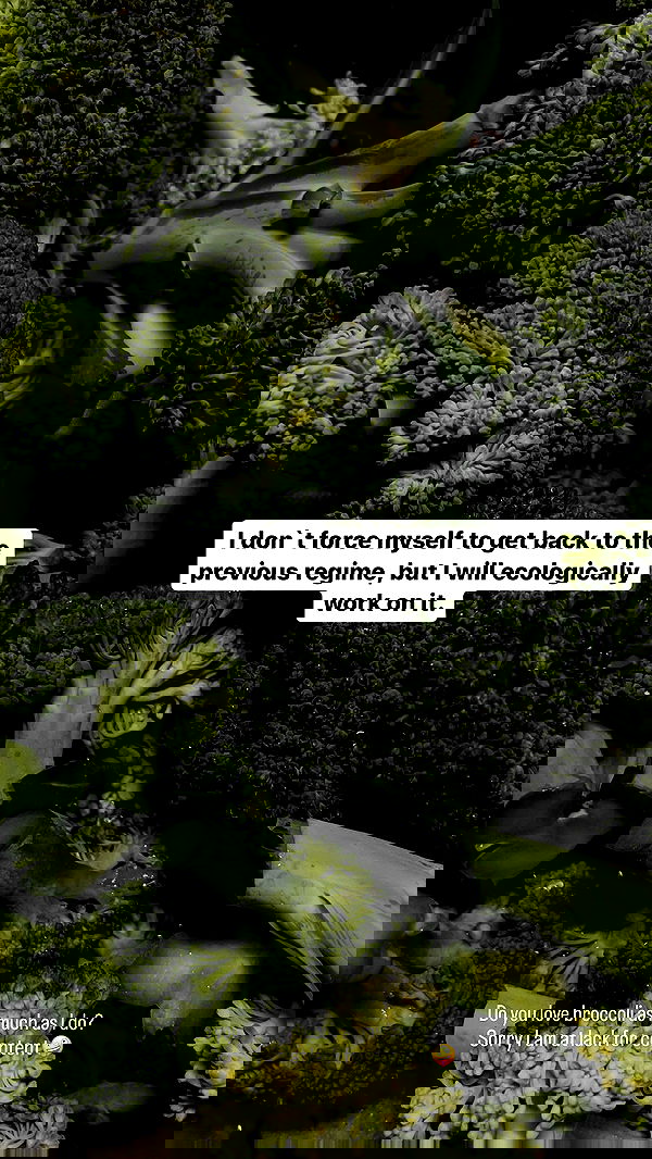 vive.la.lucy vive.la.lucy archive image