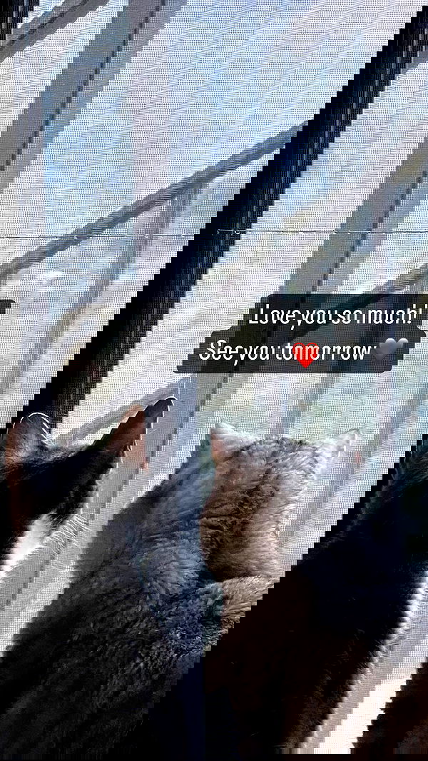 vive.la.lucy vive.la.lucy archive image