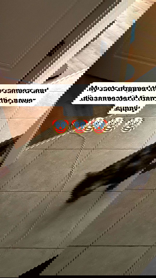 vive.la.lucy vive.la.lucy archive image