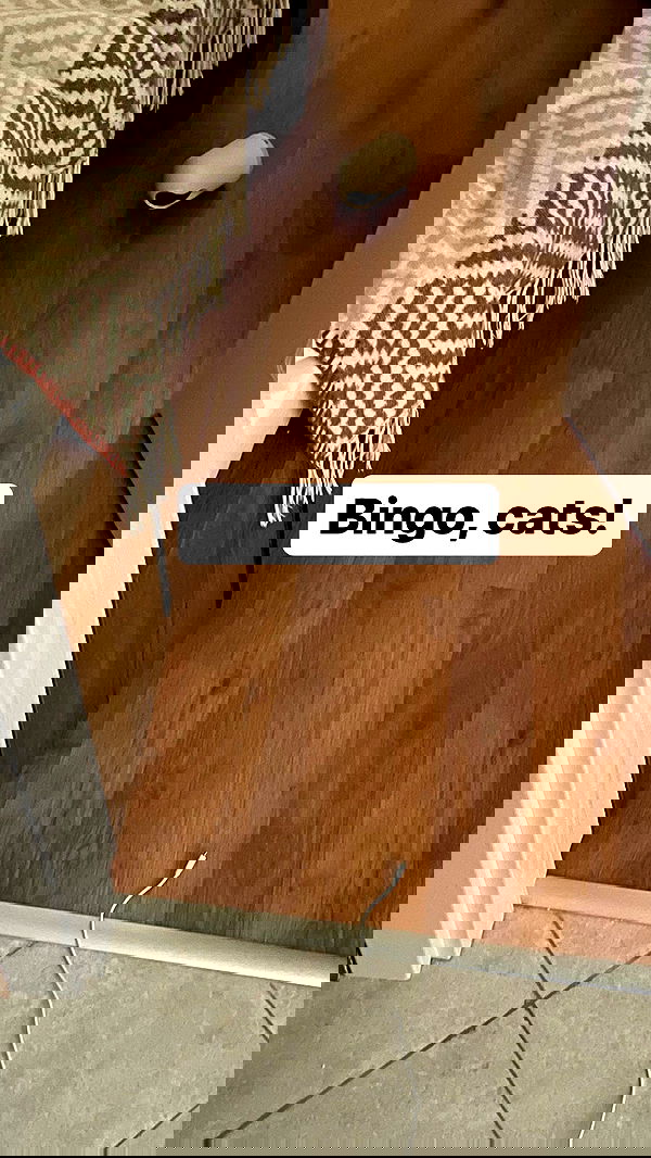 vive.la.lucy vive.la.lucy archive image