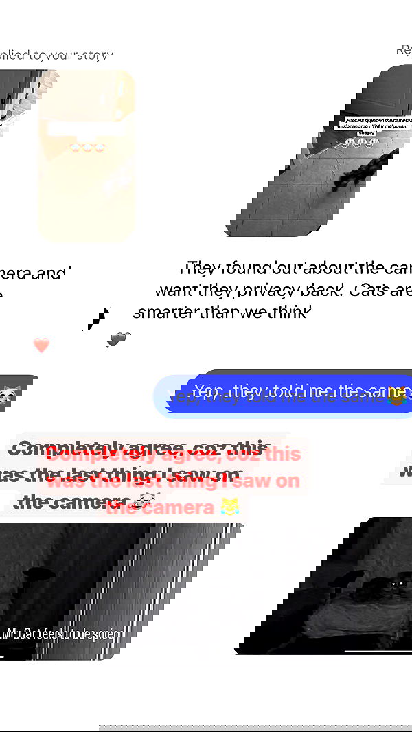 vive.la.lucy vive.la.lucy archive image