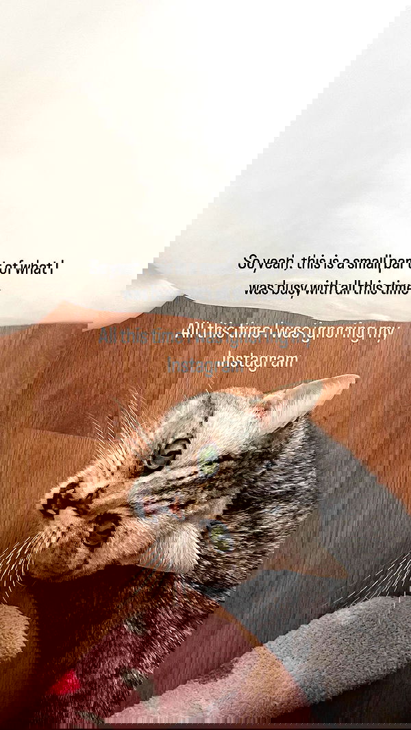 vive.la.lucy vive.la.lucy archive image