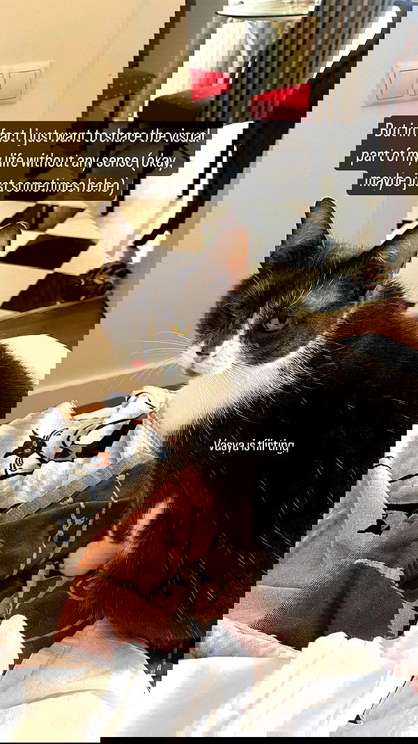 vive.la.lucy vive.la.lucy archive image