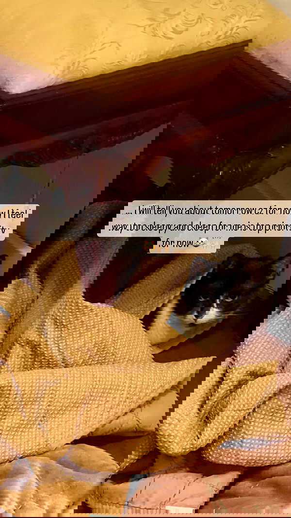 vive.la.lucy vive.la.lucy archive image