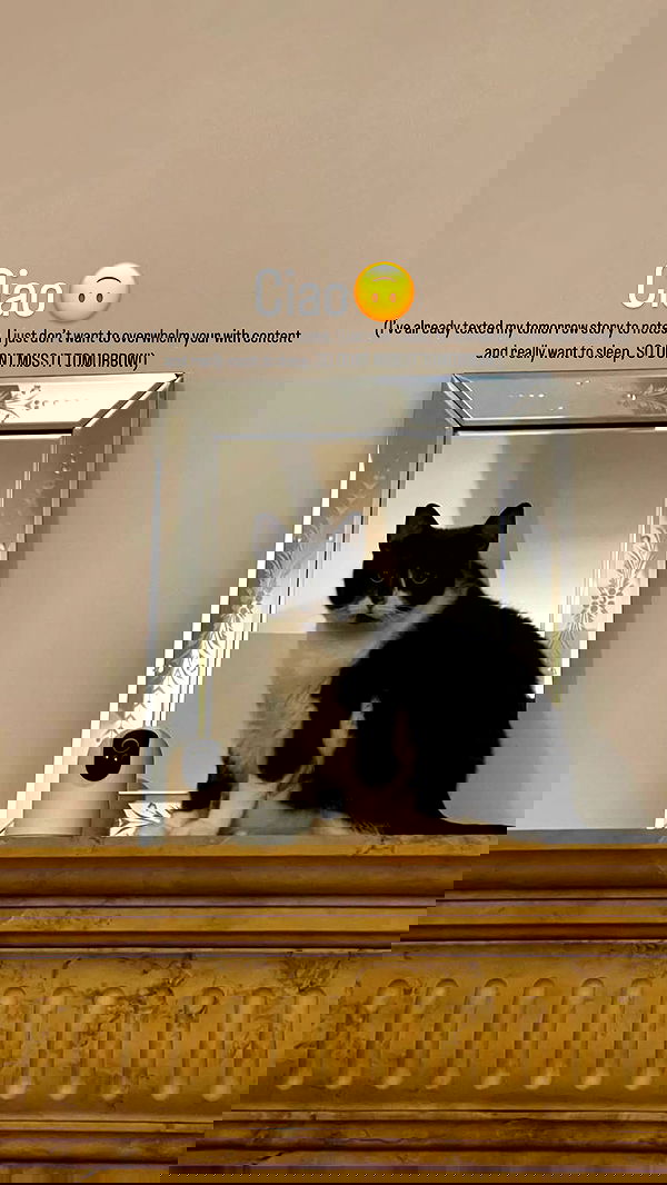 vive.la.lucy vive.la.lucy archive image