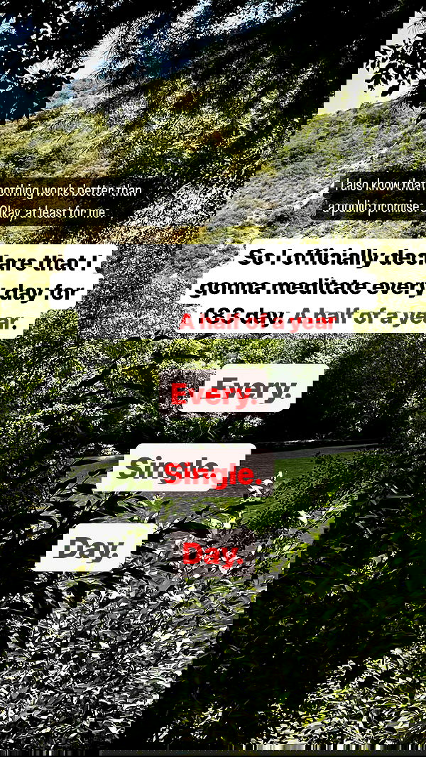 vive.la.lucy vive.la.lucy archive image