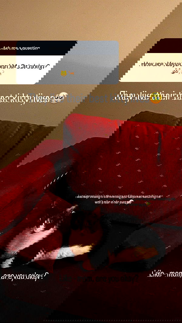 vive.la.lucy vive.la.lucy archive image