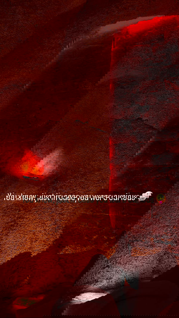 vive.la.lucy vive.la.lucy archive image