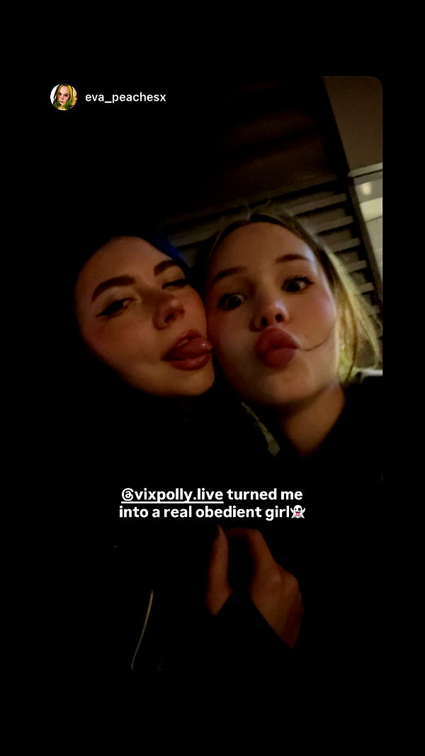 vixpolly.live vixpolly.live archive image