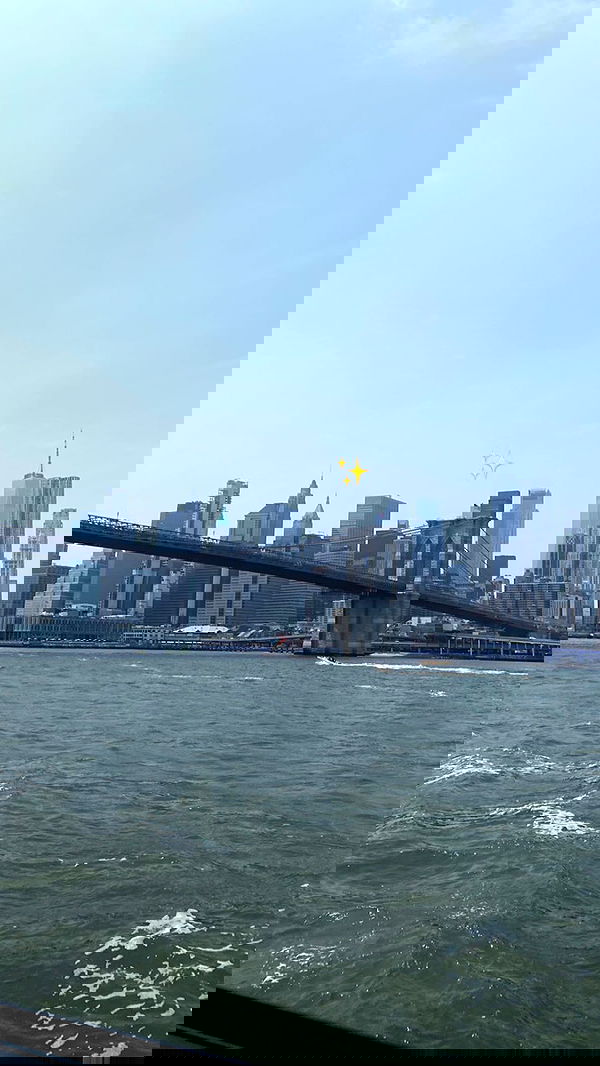 vwnrottie vwnrottie archive image