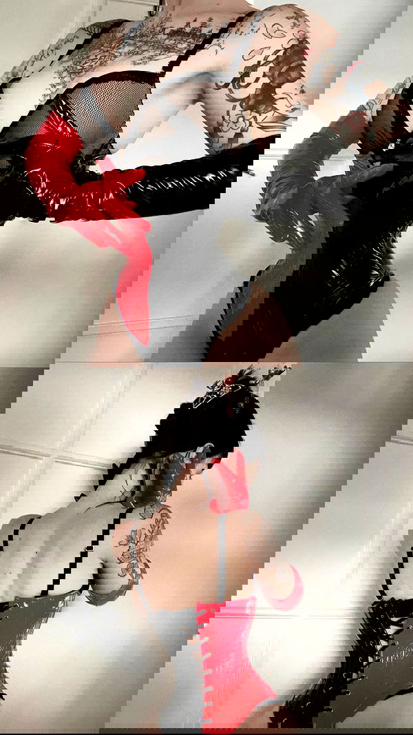 vwnrottie vwnrottie archive image