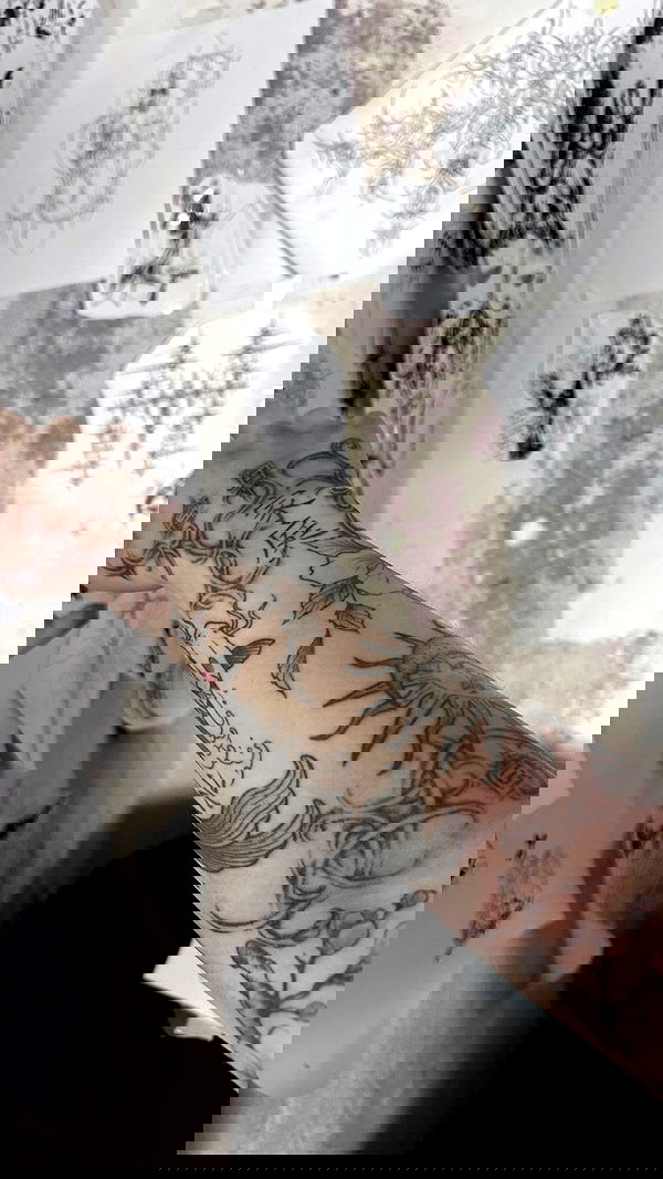 vwnrottie vwnrottie archive image