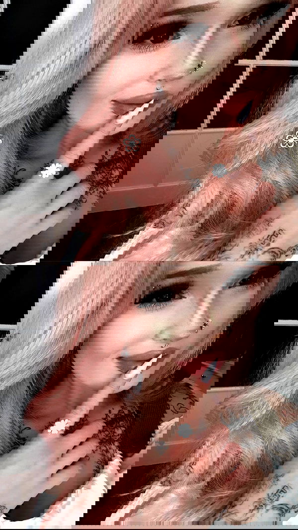 vwnrottie vwnrottie archive image