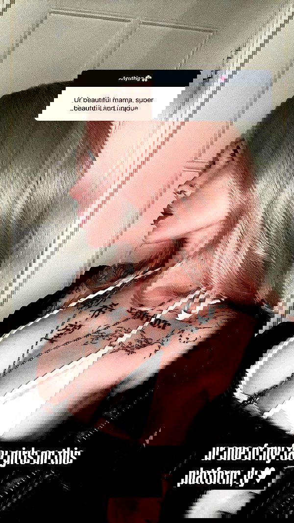 vwnrottie vwnrottie archive image