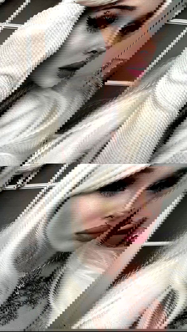 vwnrottie vwnrottie archive image