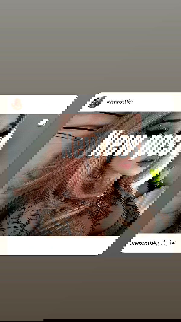 vwnrottie vwnrottie archive image