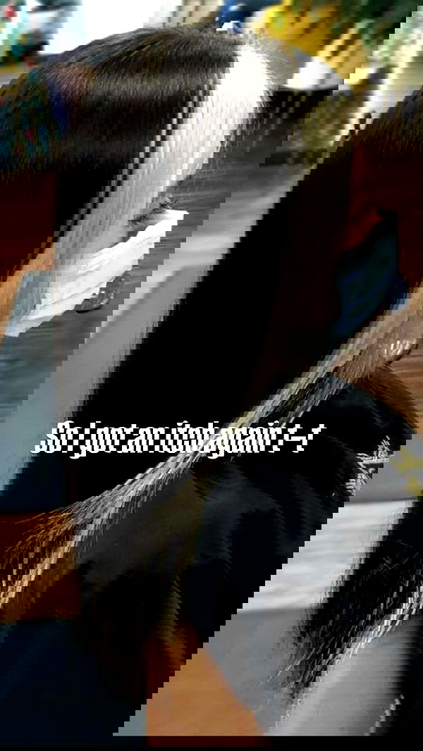 vwnrottie vwnrottie archive image