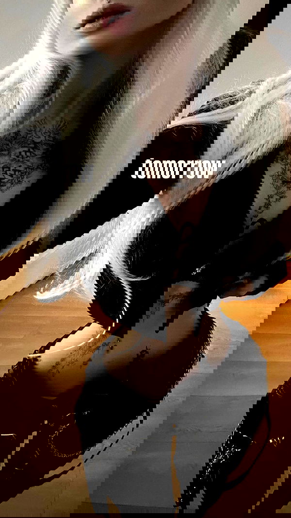 vwnrottie vwnrottie archive image