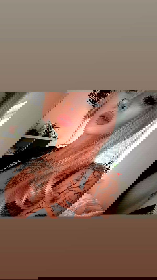 vwnrottie vwnrottie archive image