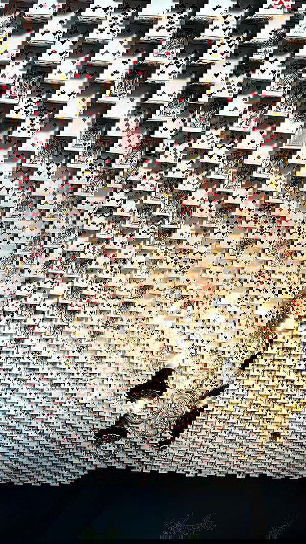 vwnrottie vwnrottie archive image