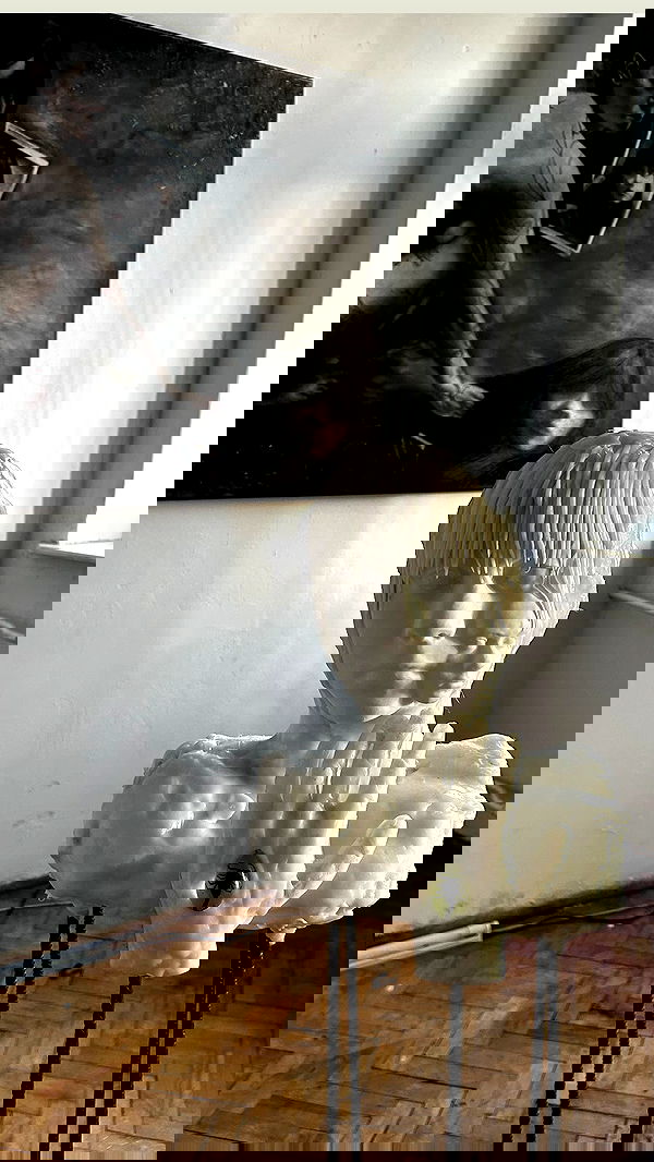 vwnrottie vwnrottie archive image