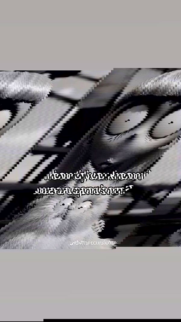 vwnrottie vwnrottie archive image