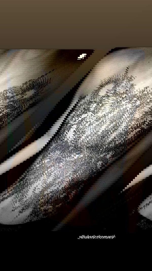 vwnrottie vwnrottie archive image