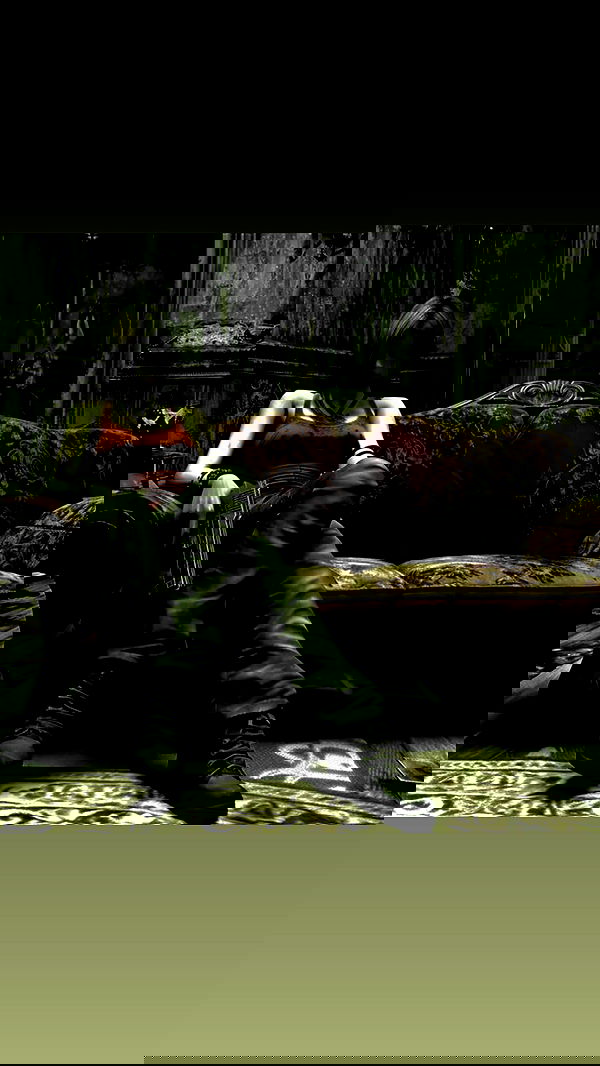 vwnrottie vwnrottie archive image